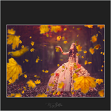 Magical Fall Leaves - Meg Bitton Productions