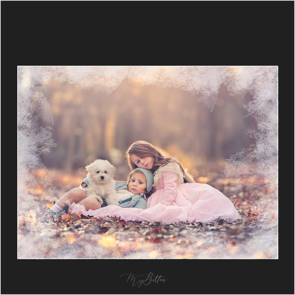 Magical Frost Overlays - Meg Bitton Productions