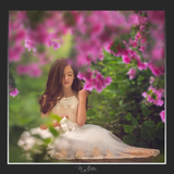 Magical Shoot Through - Pink Bougainvillea - Meg Bitton Productions