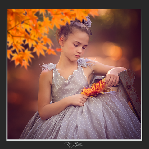 Magical Shoot Through - Vibrant Autumn Branch - Meg Bitton Productions