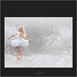 Magical Snow Overlays - Meg Bitton Productions