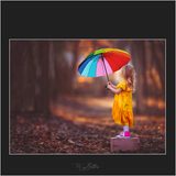 Magical Umbrella Overlays - Meg Bitton Productions