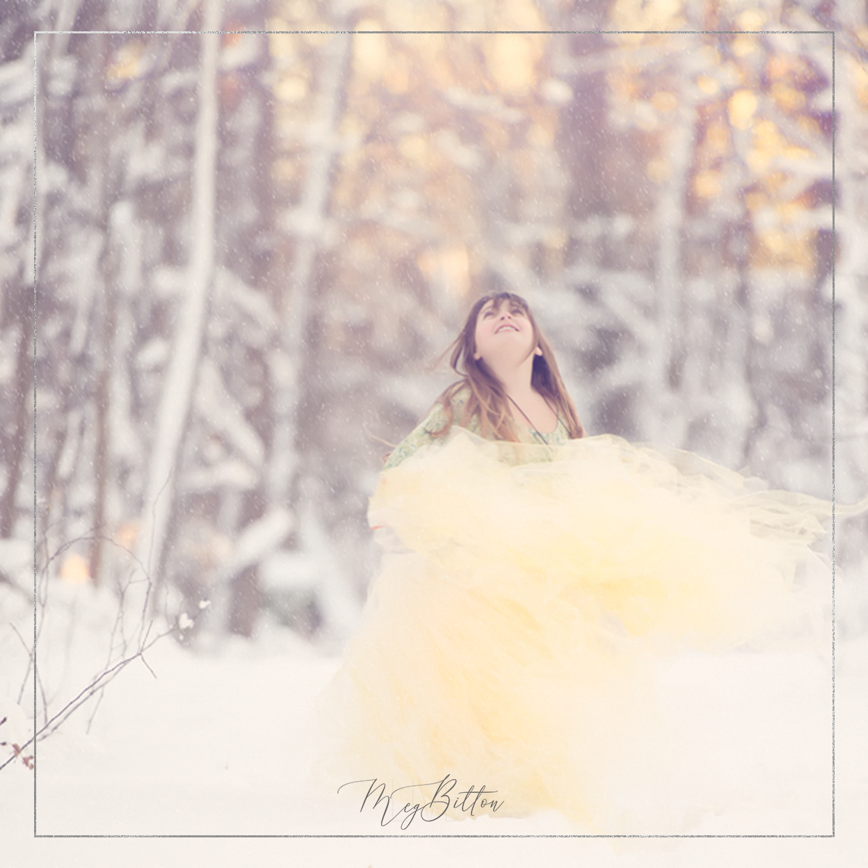 Magical Winter Wonderland Preset - Meg Bitton Productions
