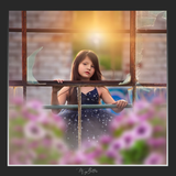 Magical Shoot Through - Petunias - Meg Bitton Productions