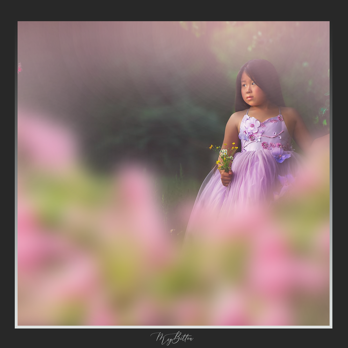 Magical Shoot Through - Pink Hydrangea - Meg Bitton Productions