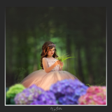 Magical Shoot Throughs-Purple Hydrangea - Meg Bitton Productions