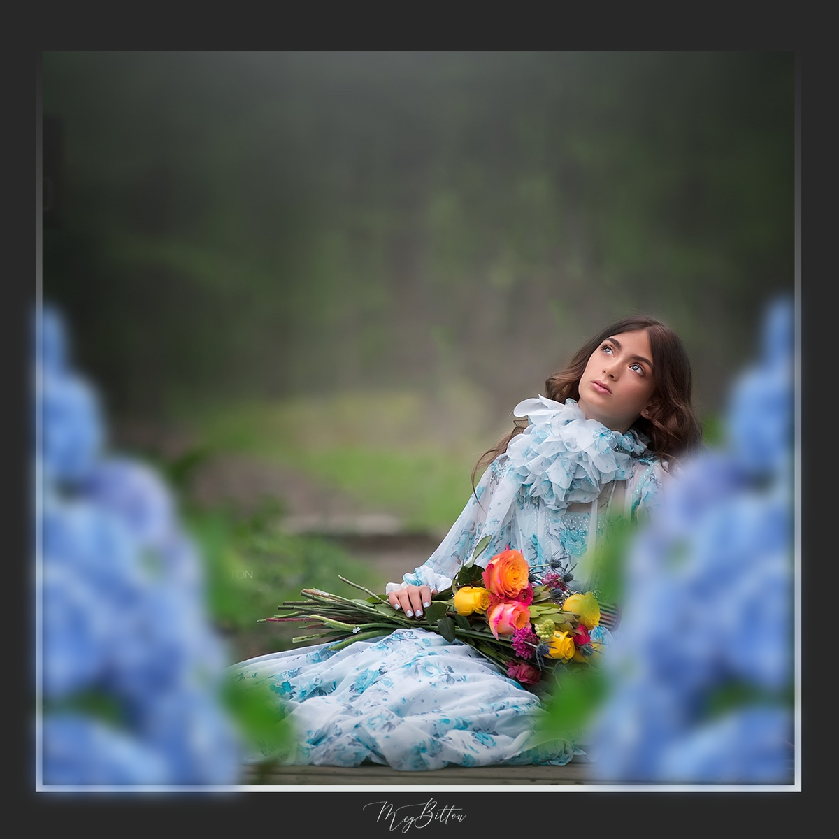 Magical Shoot Throughs-Blue Hydrangea - Meg Bitton Productions