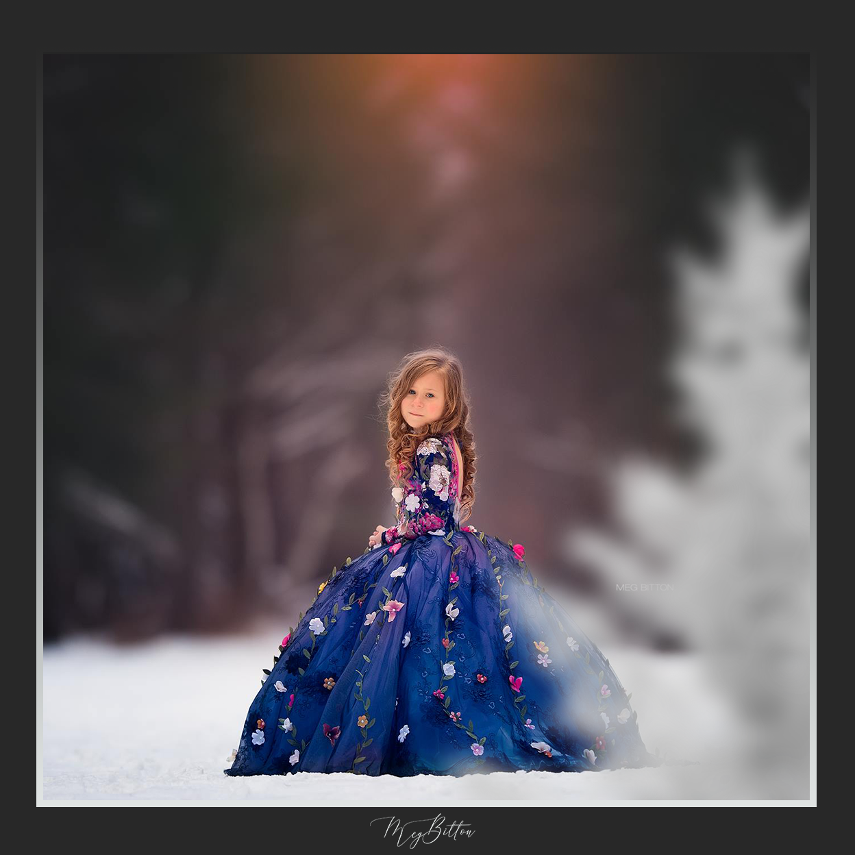 Magical Shoot Throughs - Snowy Tree - Meg Bitton Productions