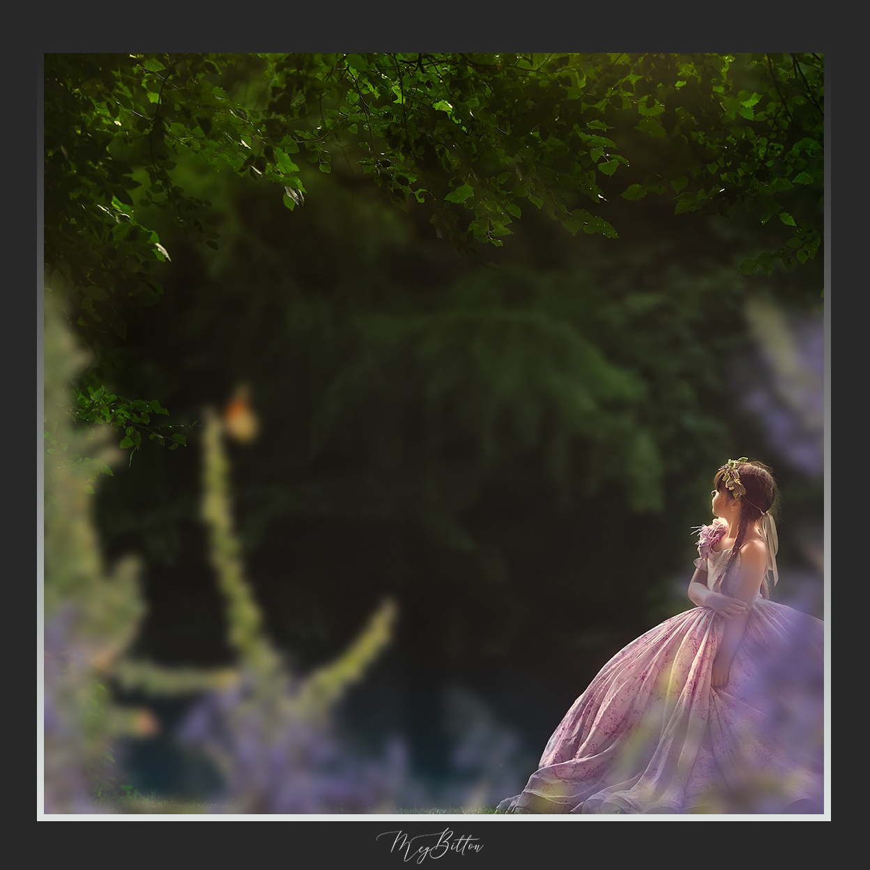 Magical Shoot Throughs - Butterfly Dreams - Meg Bitton Productions