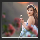 Magical Shoot Through - Floral Tree - Meg Bitton Productions