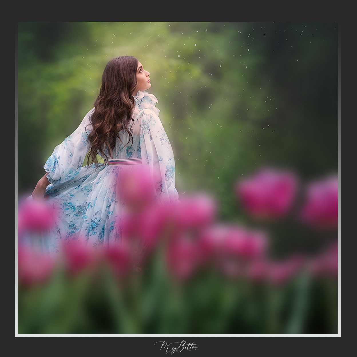 Magical Shoot Throughs - Tulips