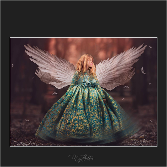 Magical Wings - Meg Bitton Productions