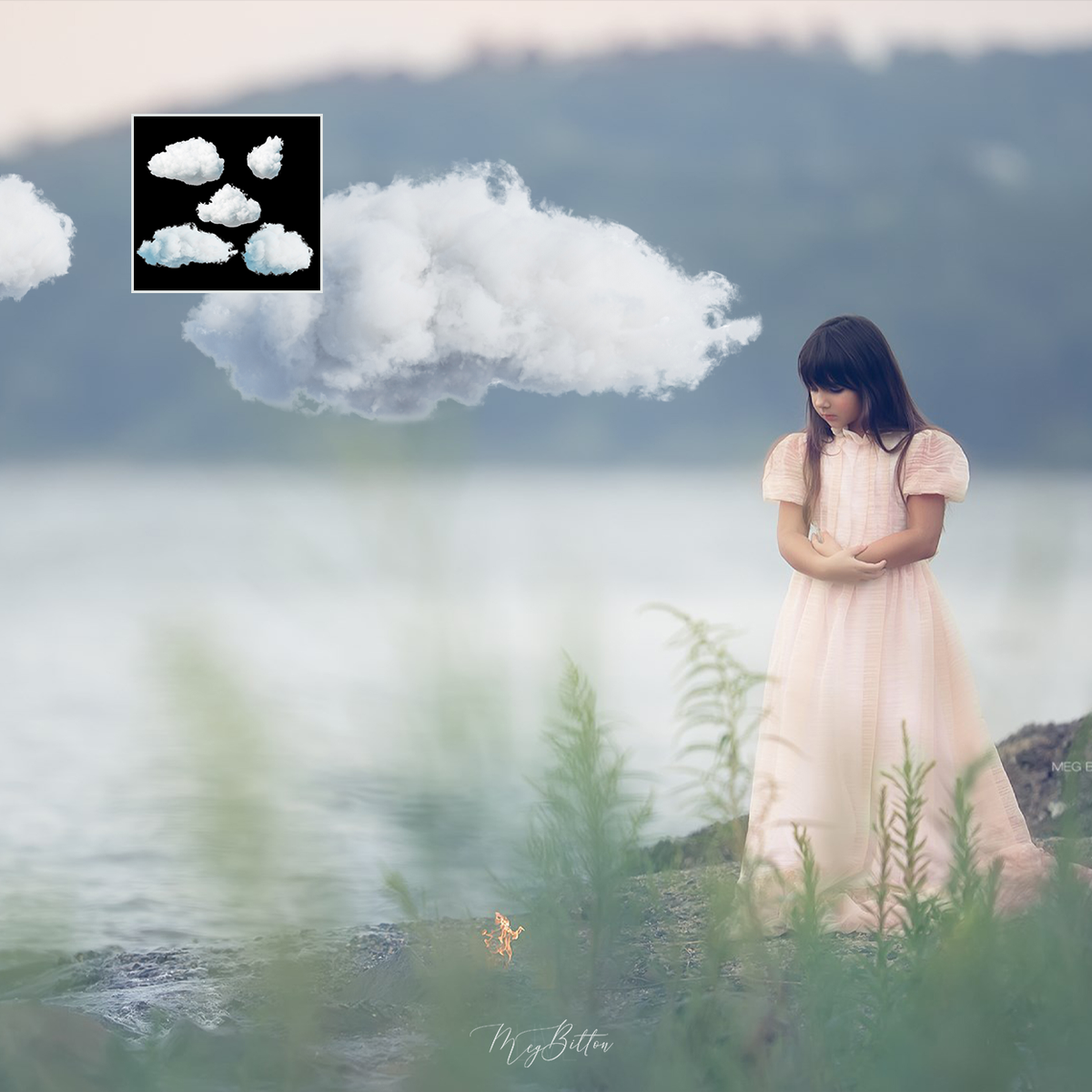 Mixer Brush: Clouds - Meg Bitton Productions