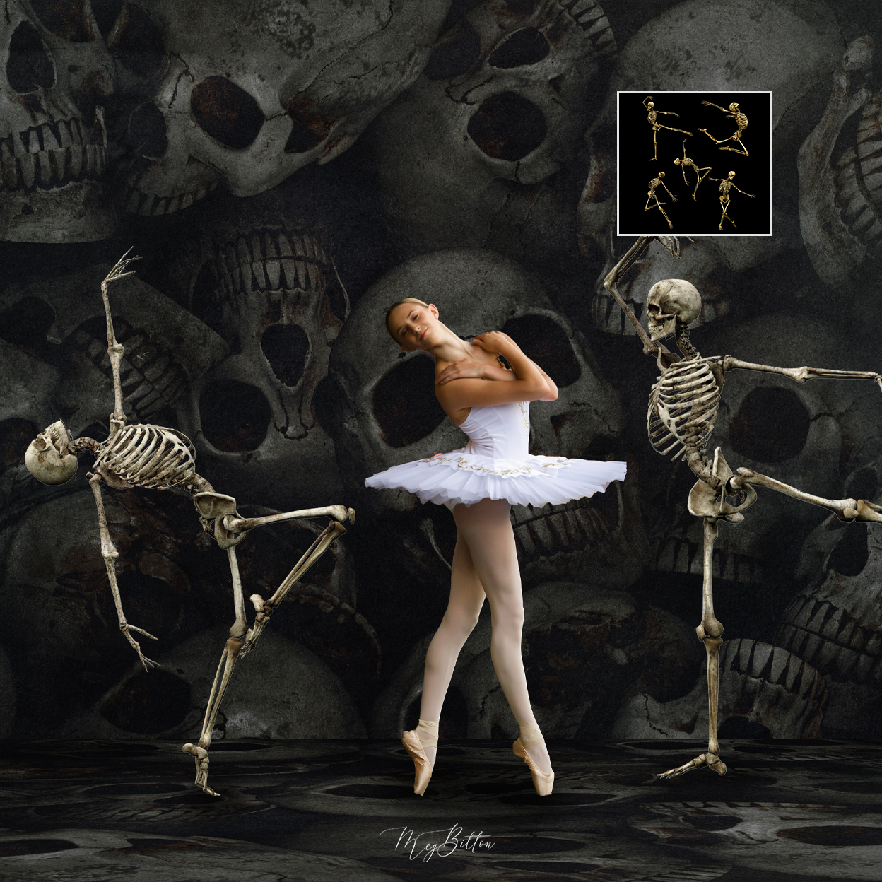 Mixer Brush: Dancing Skeletons - Meg Bitton Productions