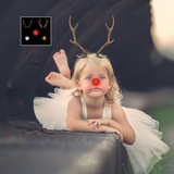 Mixer Brush: Reindeer Kit - Meg Bitton Productions