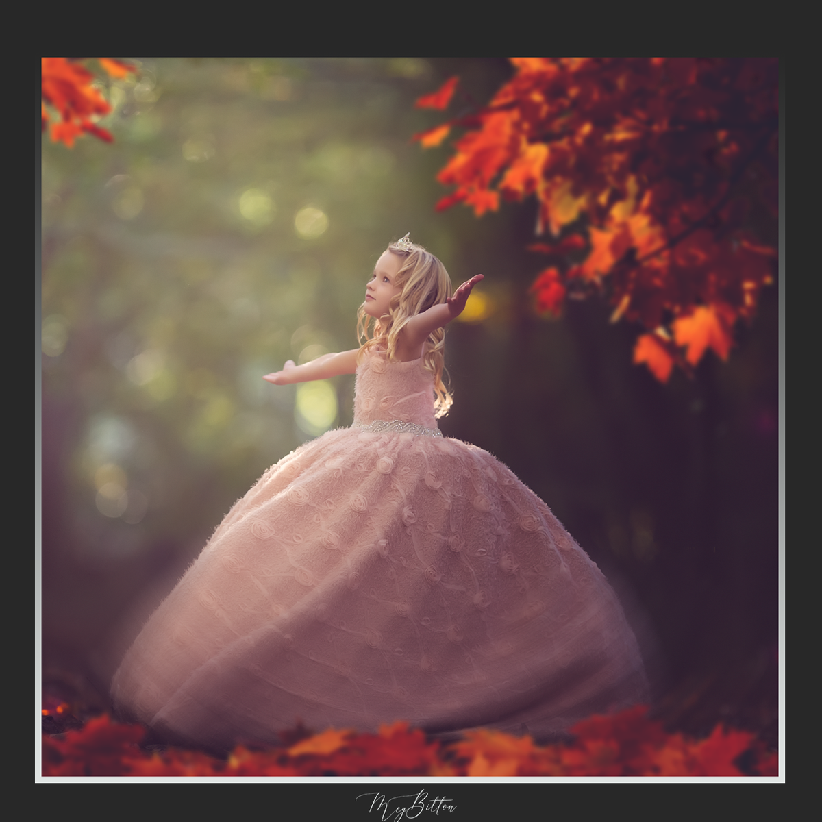 Magical Shoot Through - Autumn Ground and Trees - Meg Bitton Productions