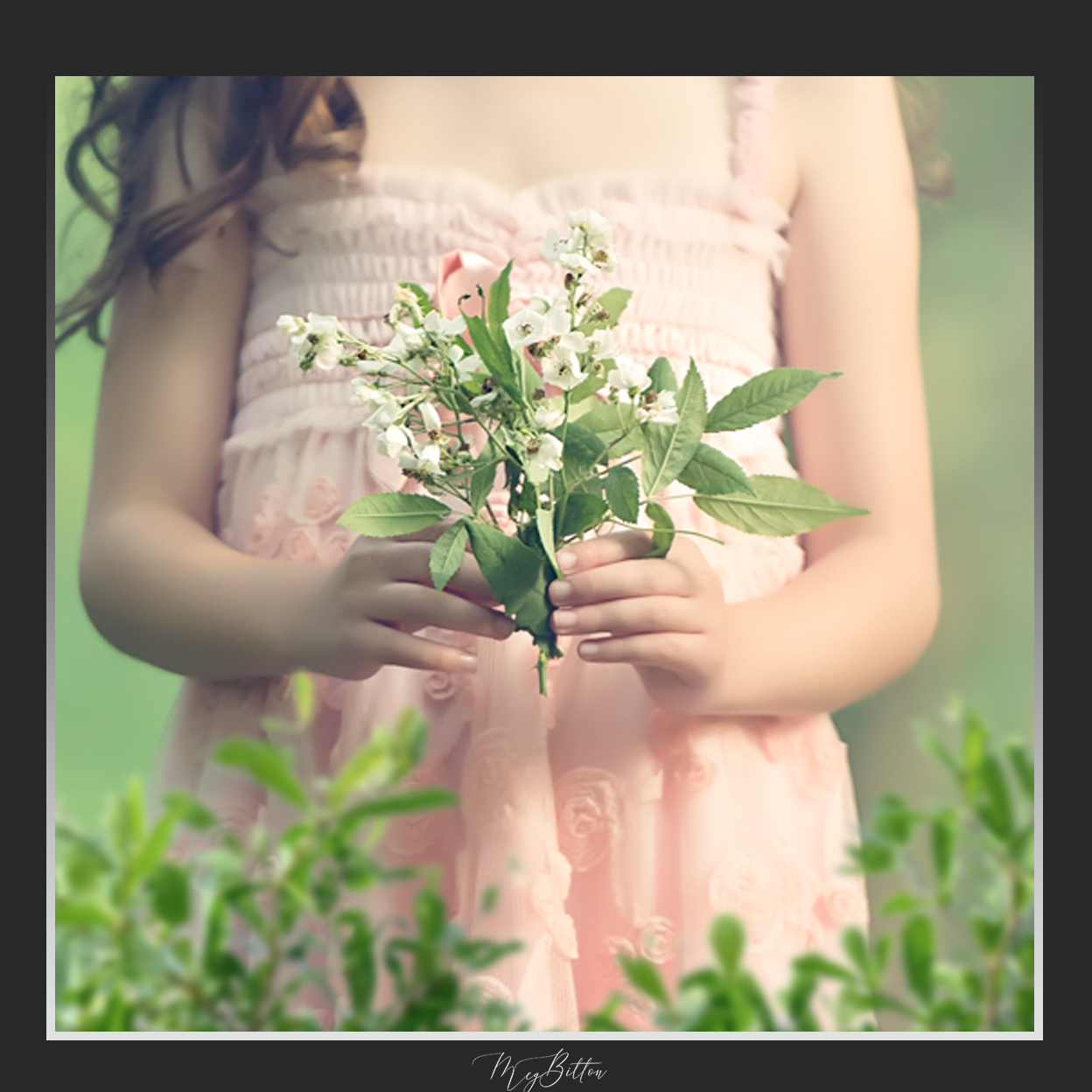 Magical Shoot Through - Boxwood Foliage