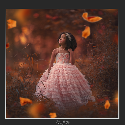 Magical Shoot Throughs-Crisp Autumn Falling Leaves - Meg Bitton Productions