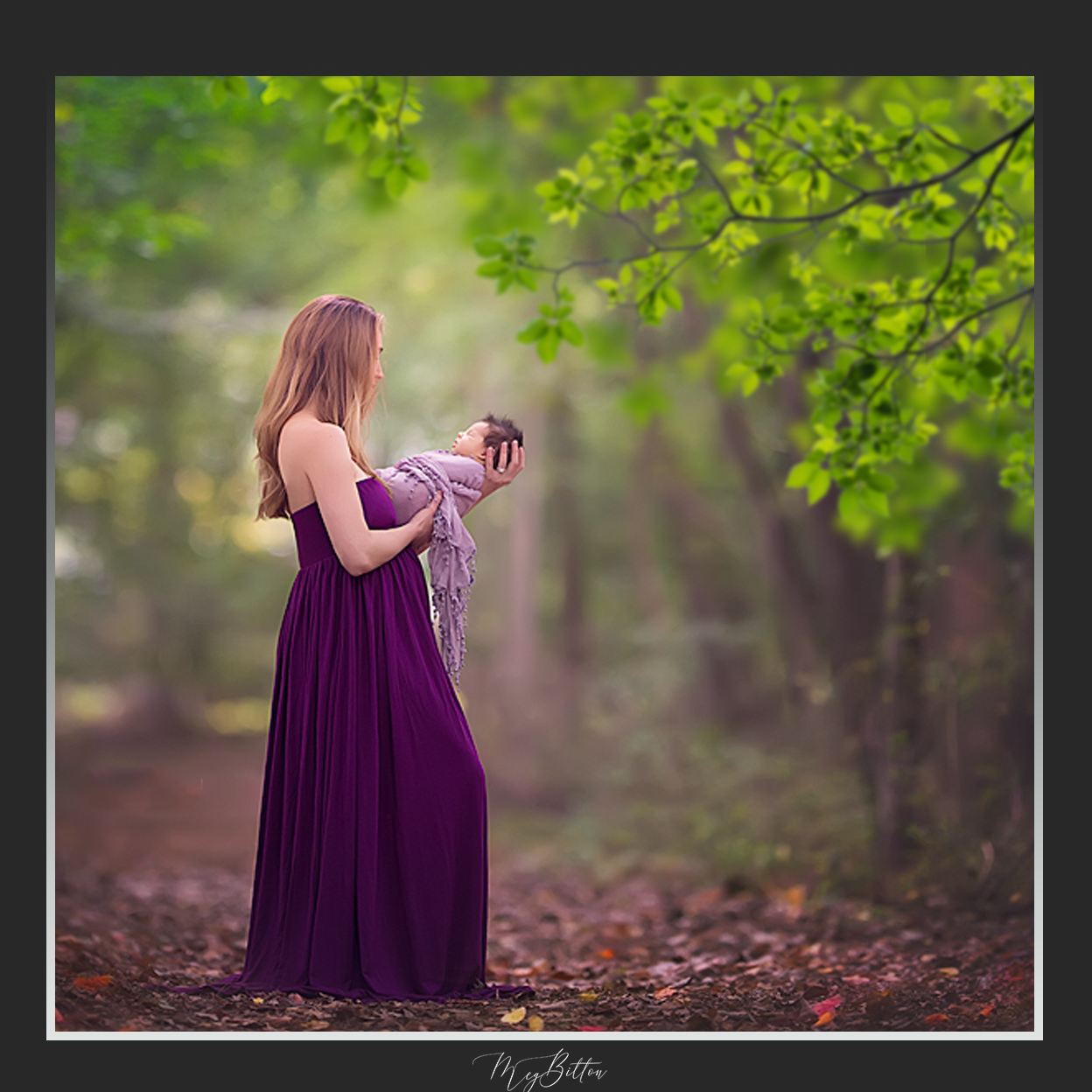 Magical Shoot Through - Spring Tree