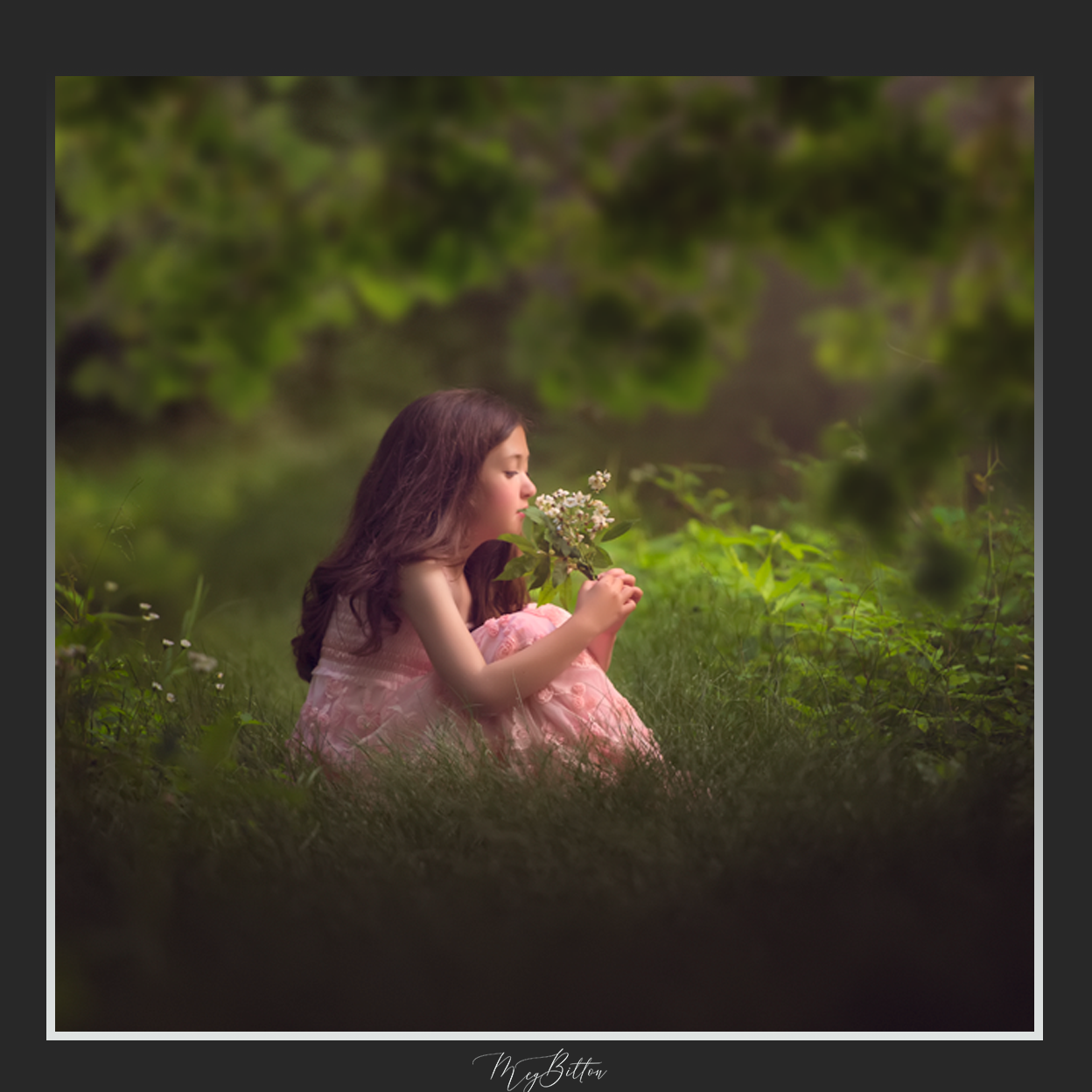 Magical Shoot Through - Summer Arch