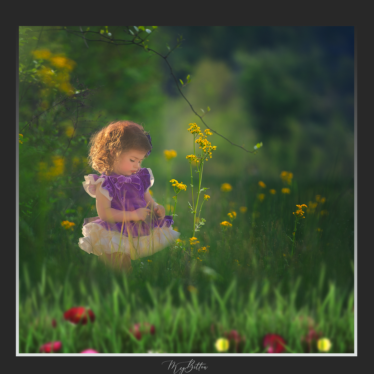 Magical Shoot Through - Wildflower Grass