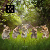 Mixer Brush: Dancing Bunnies - Meg Bitton Productions