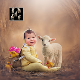 Mixer Brush: Lambs - Meg Bitton Productions