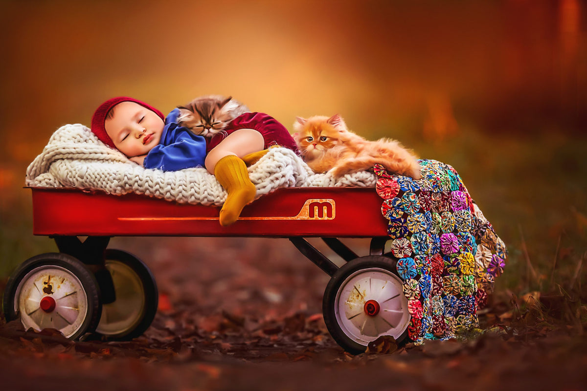 Painterly Cuddle Wagon - Meg Bitton Productions