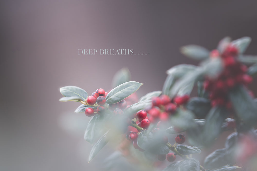 Peaceful Berries Silent Edit - Meg Bitton Productions
