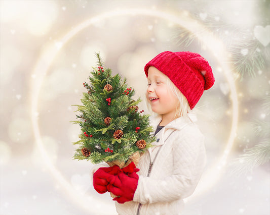 The Perfect Christmas Tree - Meg Bitton Productions