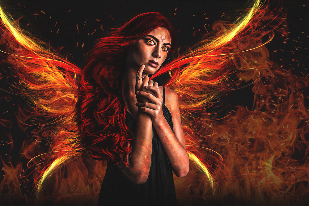 Phoenix Fire Kit - Meg Bitton Productions