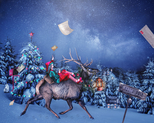 Reindeer Express - Meg Bitton Productions