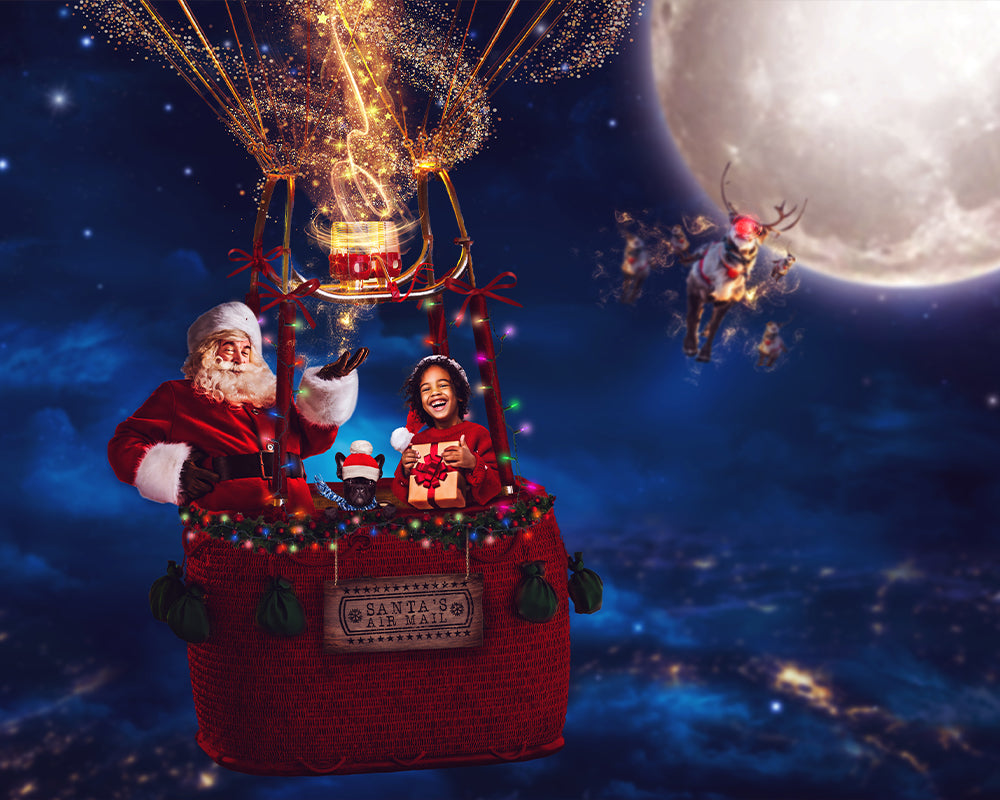 Santa's Air Mail - Meg Bitton Productions