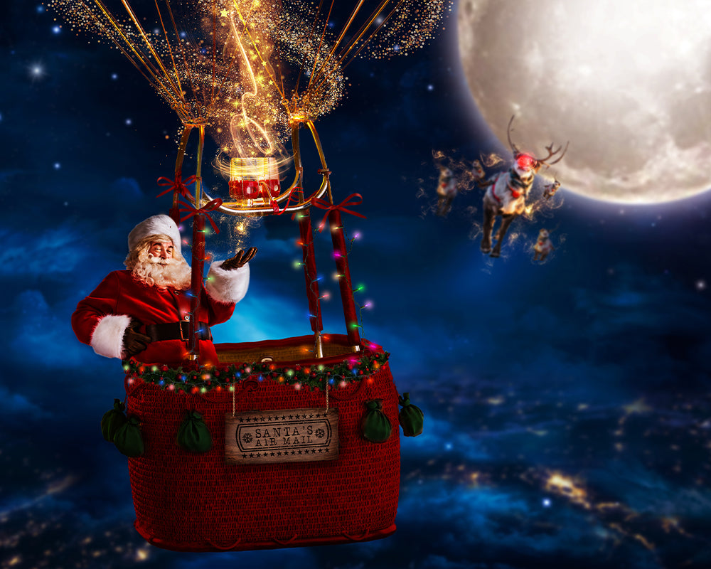 Santa's Air Mail - Meg Bitton Productions