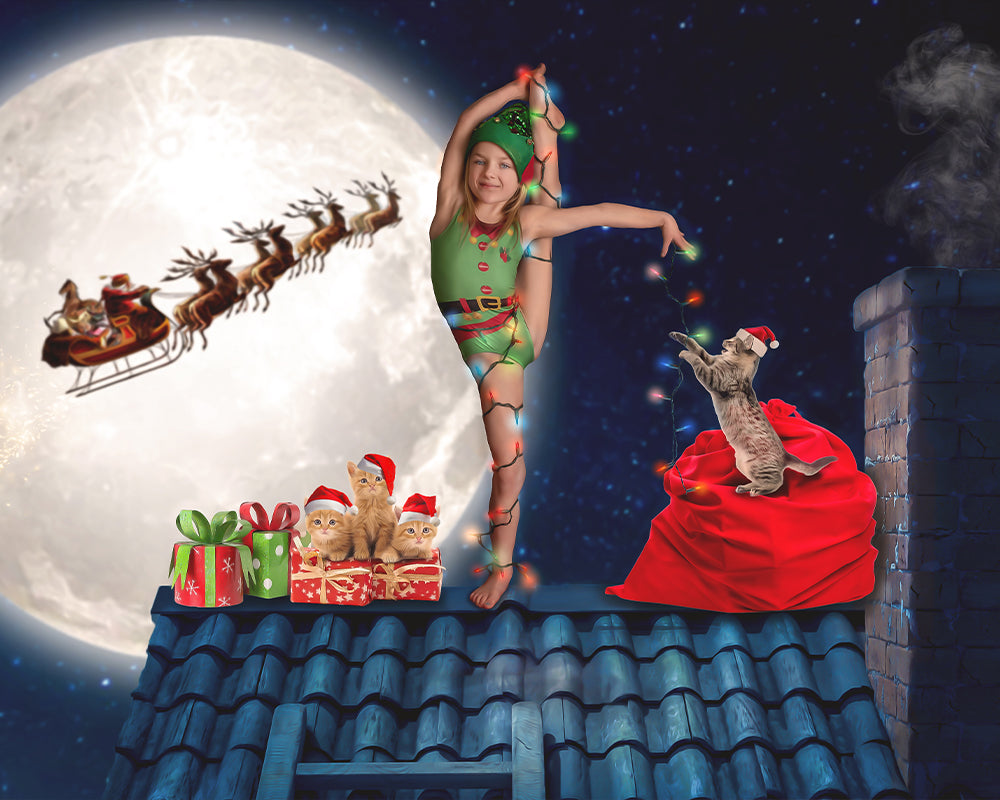 Santa's Little Helpers - Meg Bitton Productions