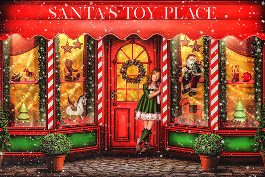 Santa's Toy Place - Meg Bitton Productions