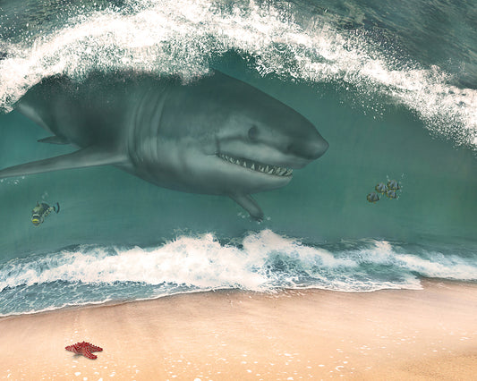 Shark Scare - Meg Bitton Productions