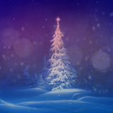 Silent Night Freebie Bundle - Meg Bitton Productions