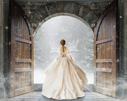 Snow Princess - Meg Bitton Productions