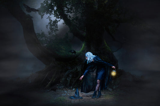 Spooky Forest - Meg Bitton Productions