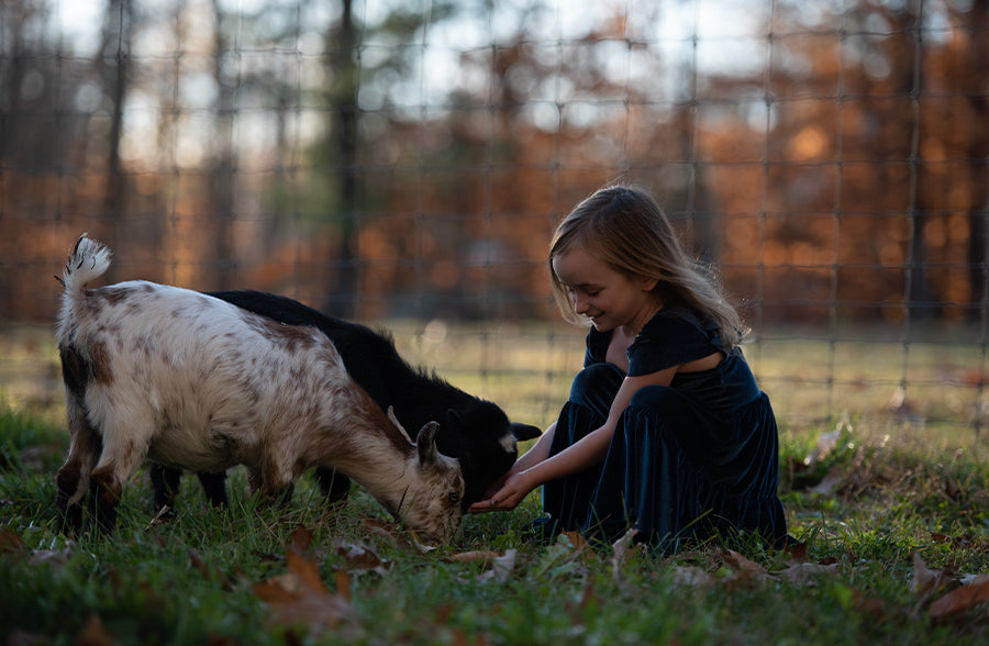 Springtime Friends - Meg Bitton Productions