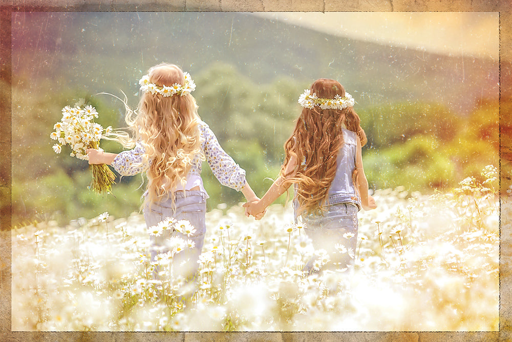 Bit Summer Summer Memories – Meg Bitton Productions