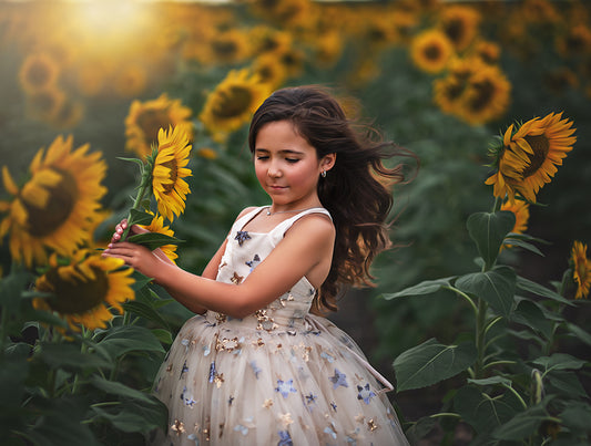 Sunflower Magic - Meg Bitton Productions