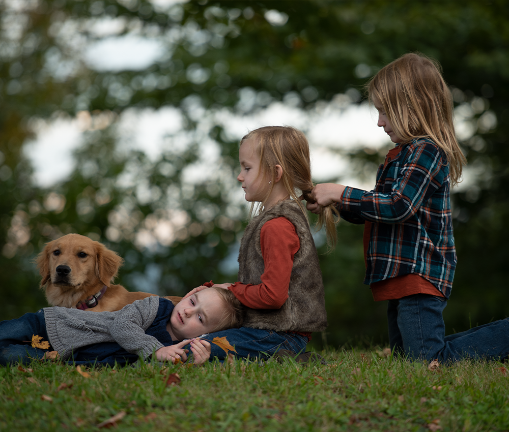 The Leaf Pile - Meg Bitton Productions