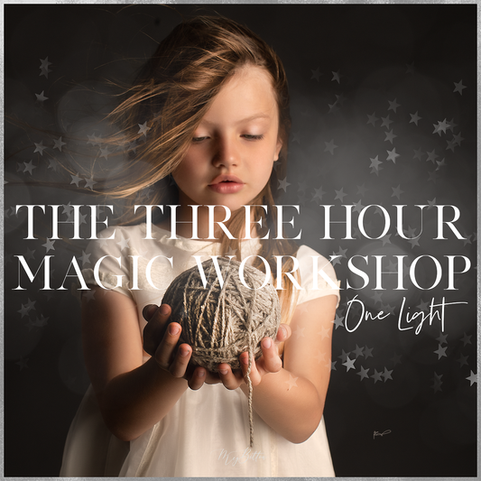 The Three Hour Magic One Light Workshop - December 14 - Meg Bitton Productions