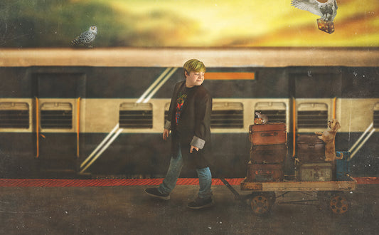 Train Travels - Meg Bitton Productions