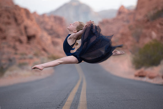 Valley of Fire - Meg Bitton Productions