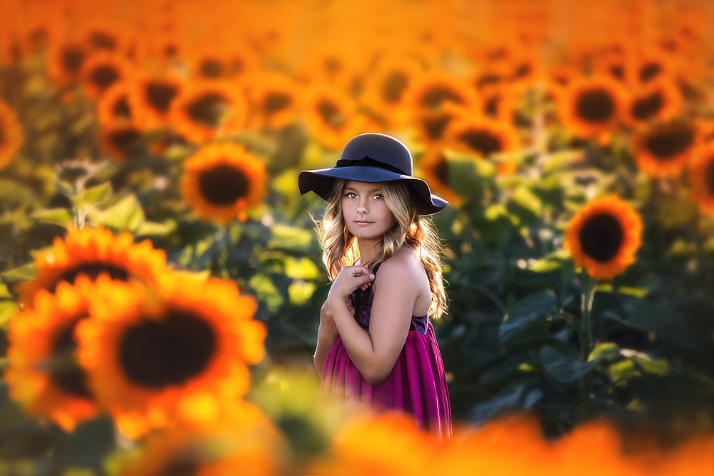 Vibrant Sunflowers - Meg Bitton Productions