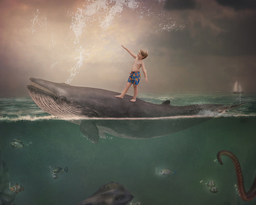 Whale Ride - Meg Bitton Productions