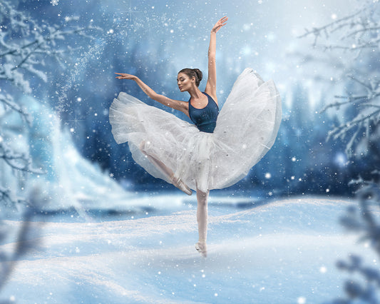 Winter Dance Princess - Meg Bitton Productions